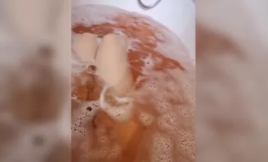 番茄社区主播梁沈沈呐全套合集33