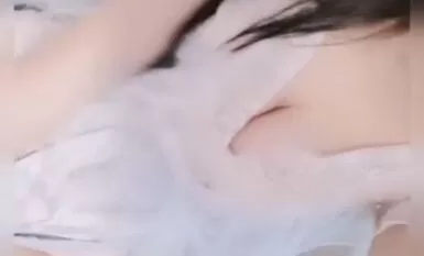 Koleksi lengkap sauh komuniti tomato Liang Chenchenna 3