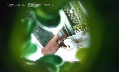 绿叶房 偷情饥渴风骚女秘书开房啪啪 急色骑上去扛腿抽插猛操 叫床太骚