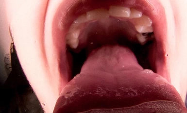 EVIS-517 [语言淫荡的女人] 主观舌吻，吐唾液手交。