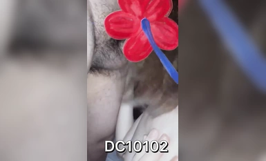 สมัครสมาชิก Hotwife สุดเท่ [DC10102] บน Twitter หีของเธอเป็นสีชมพูและอ่อนโยนใน 3P พร้อมอุปกรณ์ประกอบฉากที่เปิดเผย และ Ziwei จุดสุดยอดและเพรียงหัวหอม (2)