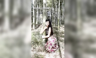 李雅nova 合集（45）