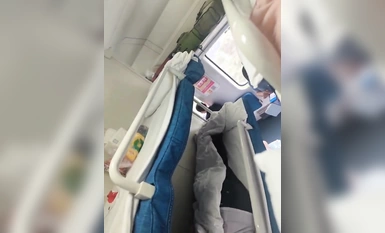 스위트 83 컬렉션 (5)