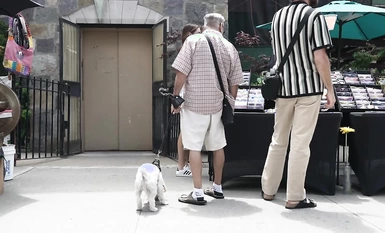 Tiếp xúc với đường phố và đi bộ khỏa thân Bralessforever (Bitchinbubba) loạt lựa chọn tốt nhất (10)