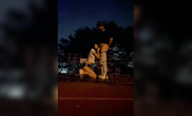 Bộ sưu tập Ella Little Saucy Fox 50 số (32)