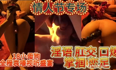 Espesyal na audio-visual na kapistahan ng "Jing" Araw ng mga Puso ng 18-taong-gulang na asong umiiyak sa buong proseso