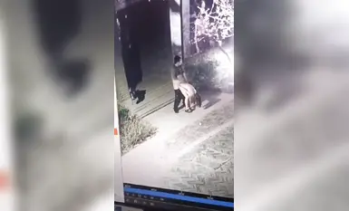 抖音热瓜 兰州事件，兰州老街七里河，精神小妹直接大街做爱 八分钟完整版