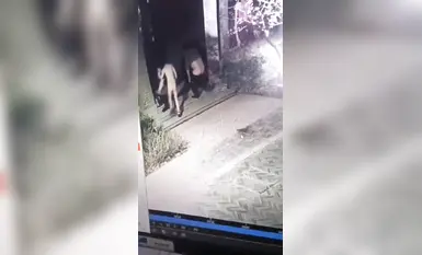 抖音热瓜 兰州事件，兰州老街七里河，精神小妹直接大街做爱 八分钟完整版