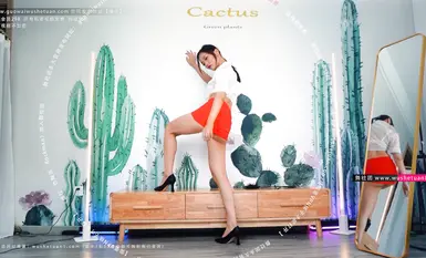 热舞派瑶瑶VIP版漏毛露点艳舞多角度完整加密破解4k合集(28)