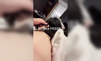 極品粉嫩雙馬尾小騷貨『貓紫寶寶』車上自己玩自己，車下爸爸醬玩窩，被爸爸按在窗前爆操，好害羞