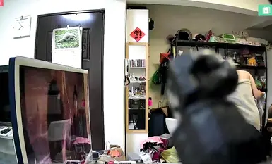 2024-05-20_การเฝ้าระวังที่บ้านในไทเป_[ชุดชั้นในสุดน่ารักที่เปิดเผย]_น้องสาวลุกขึ้นแปรงฟัน_น้องสาวกลับบ้านสวมชุดน่ารัก_น้องสาวอาบน้ำโชว์