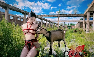 최고의 트레이닝 마스터 "Northeast Original"은 다른 사람들의 눈에는 순수한 댄서입니다. -흰색 스타킹을 신고 왁스를 흘리는 말.