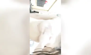 [เผชิญหน้าแมว] สุดยอดนางฟ้าบาร์บี้หน้าอกใหญ่! (6)