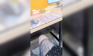 戶外日常~【黛西老師】網吧大膽自慰~道具震逼~按摩 吃雞 啪啪秀 (2)