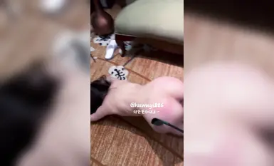 Terdedah Harimau Putih Bergegar M Kebajikan Ji @Hu Daddy dan Hu Wuyi Scale Private Photography