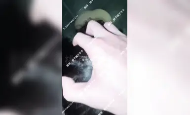 [Tao Zi Tao Zi Zi] ฝึกสุนัขตัวเมียเพื่อบังคับออรัลเซ็กซ์แล้วเจาะหีเสือขาวเพื่อทำให้เธอมองเห็นเต็มตา (3)