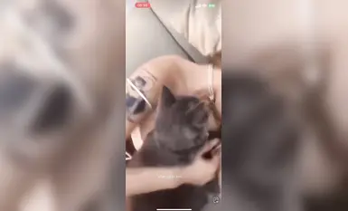 Thousands of Douyin videos with exposure and exposure, selected beauty videos and welfare videos (89)