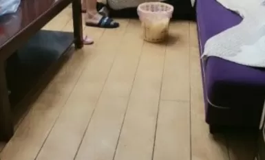 野狼出擊--收個女徒弟