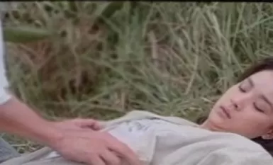 [香港_三級]落山風