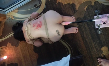 [New Stream năm 2025] Chongqing DOM Master [Eternal Night DS] quyền lợi nhóm VIP mới nhất, bay đôi, nhiều đạo cụ, huấn luyện sang chảnh, em bé dịu dàng (21)