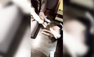 【2025年新流】出道即巔峰，蘿莉嫩妹殺手【ouikk蟾蜍】推特絕版福利，調教啪啪，各種雙飛內射極品嬌嫩小妹(2)