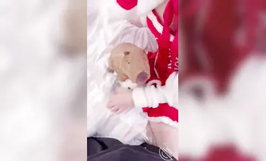 海角亂倫大神【意淫自己妹妹】付費鑽石貼集，跨年夜，玩偶公寓與妹妹玩了個天翻地覆，嫩穴都操腫了，部部精彩