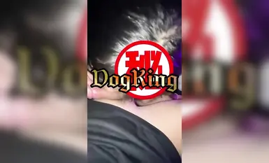 Sarjana yang pakar dalam meniduri gadis-gadis muda yang terbaik, "mengajak", menjalin hubungan dengan pelajar kolej perempuan di kampus Memang mendebarkan dan mengujakan untuk melakukan hubungan seks secara rahsia di dalam bilik darjah yang diti