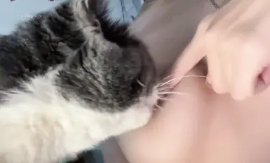 【淫语勾引反差婊】吸大奶子