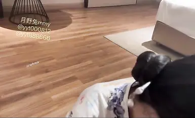 เศรษฐีบน Twitter เป็นปรมาจารย์ในการจีบสาว นักฆ่าคนดังทางอินเทอร์เน็ตคริปโตเนียน "เสือดาวทอง" มีสาวสวยชั้นยอดมากมายอยู่ใต้จู๋ใหญ่ของเขา และสาวโลลิพนักงานต้อนรับบนเครื่องบินที่เป็นหนังโป๊ทางอินเทอร์เน็ตก็กินคนนอกทุกคน (10)