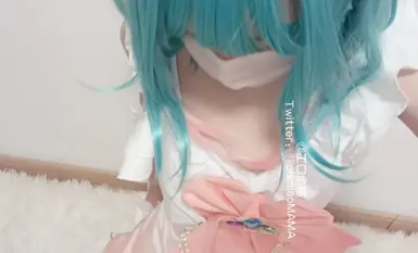 작은 새끼 고양이