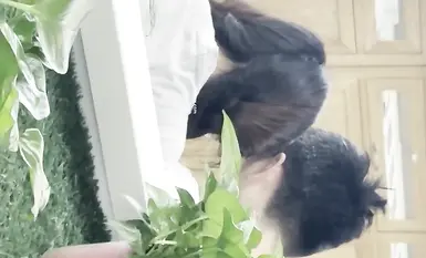 Toilet hidden camera beauty puki